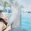 Dolphin hug in PV